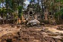 015 Cambodja, Siem Reap, Ta Nei